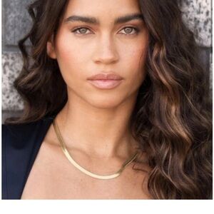 Jennifer Zeuner Hamilton 14K Gold Plated Herringbone Necklace NWT‎